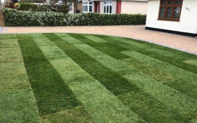 Landscaping Waltham Abbey: A Practical Guide to Creating a Garden That Works for Your Home